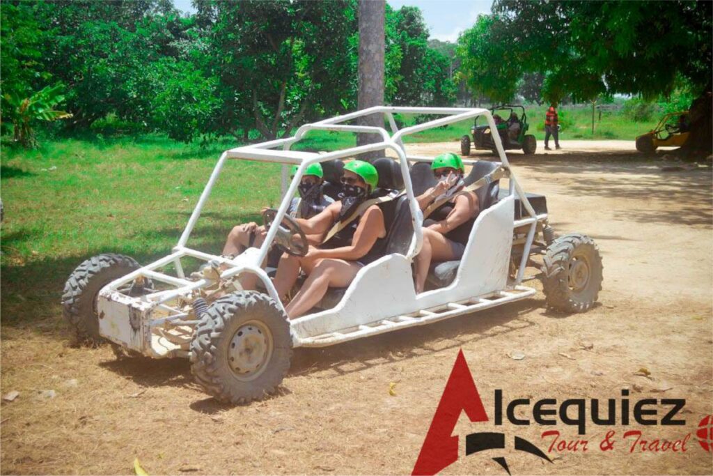 Family buggy 1