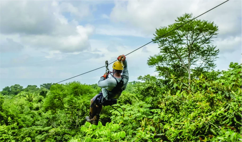 Zipline + mono 1